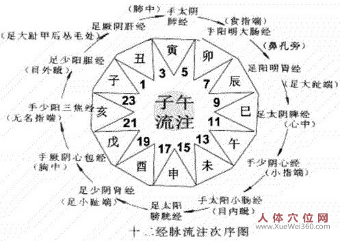 經(jīng)脈流注次序圖