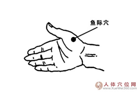 魚(yú)際穴