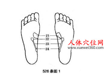 堅(jiān)持手腳穴位按摩可治各種胃痛