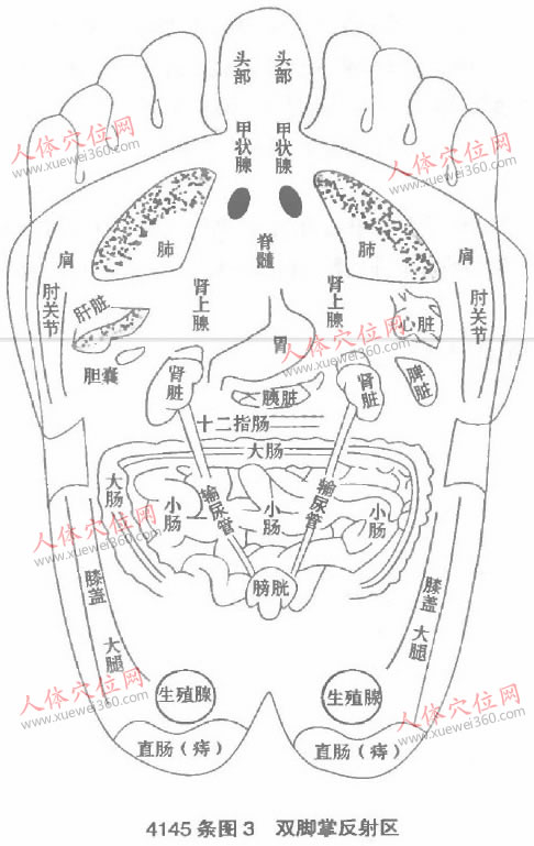 腳部病理反射區(qū)原理