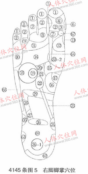 右腳腳掌穴位、腳內(nèi)側(cè)穴位