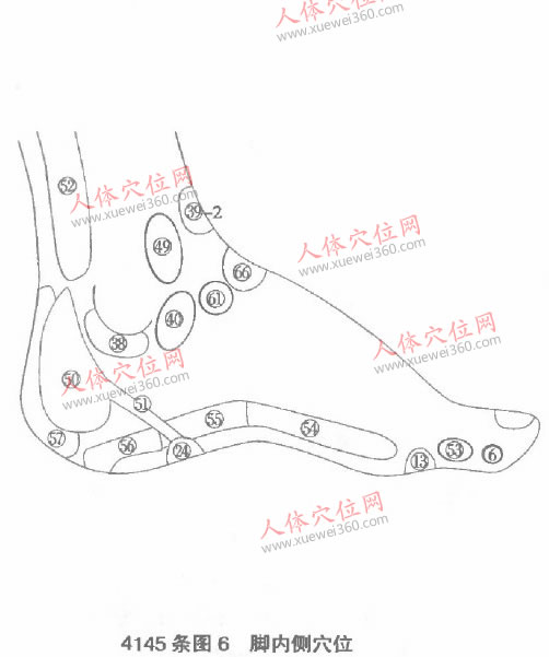 腳內(nèi)側(cè)穴位圖