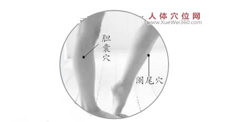 膽囊穴、闌尾穴