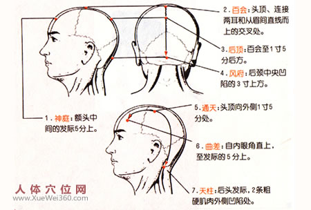 頭痛按摩穴位