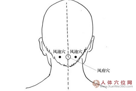 風(fēng)池穴和風(fēng)府穴