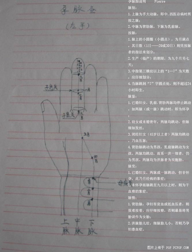 孕脈圖說明書